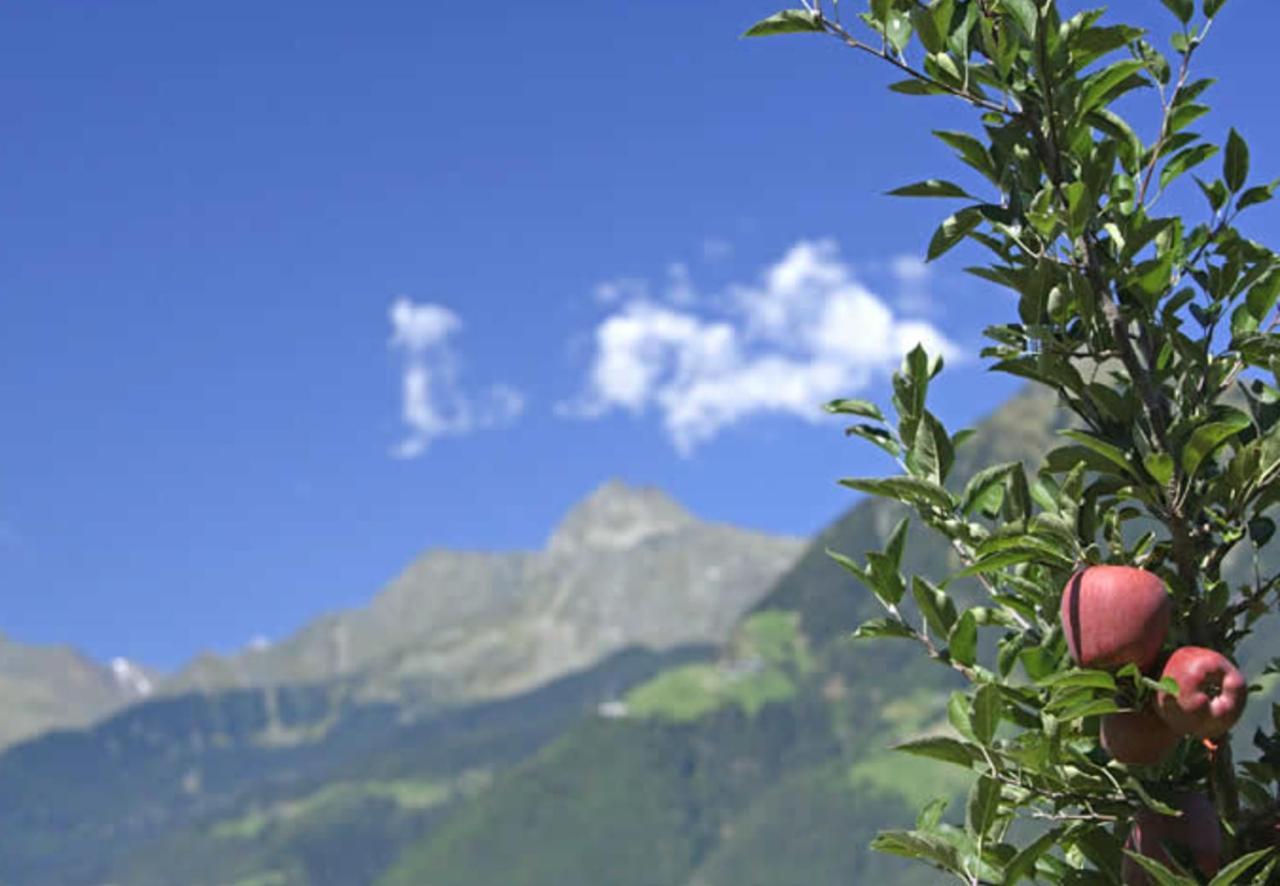 Hahnenkamm Rainegg Appartement Schenna Buitenkant foto