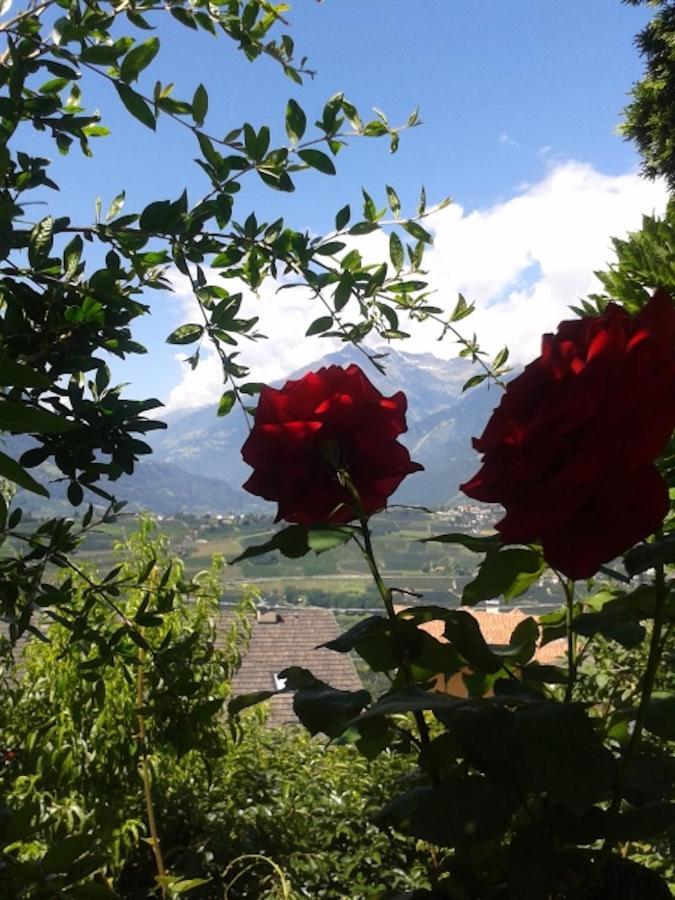 Hahnenkamm Rainegg Appartement Schenna Buitenkant foto