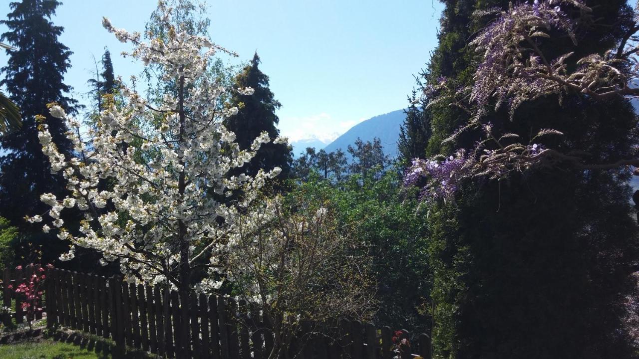 Hahnenkamm Rainegg Appartement Schenna Buitenkant foto